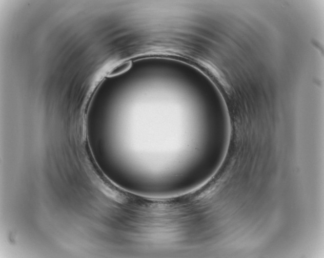 X0000099441371200805091303