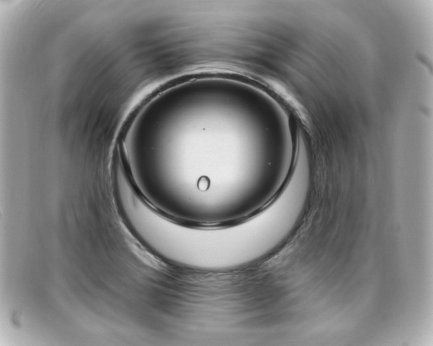 X0000099441372200805091303