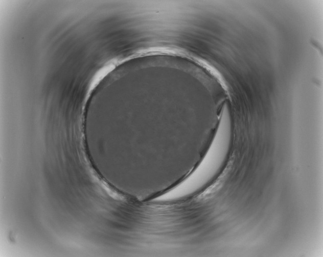 X0000099441373200805091303