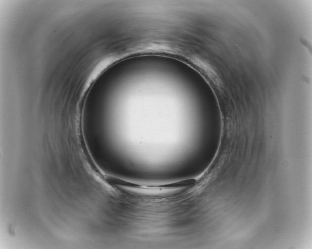 X0000099441374200805091303