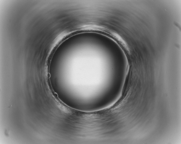 X0000099441376200805091303