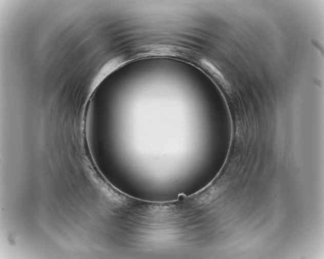 X0000099441378200805091303