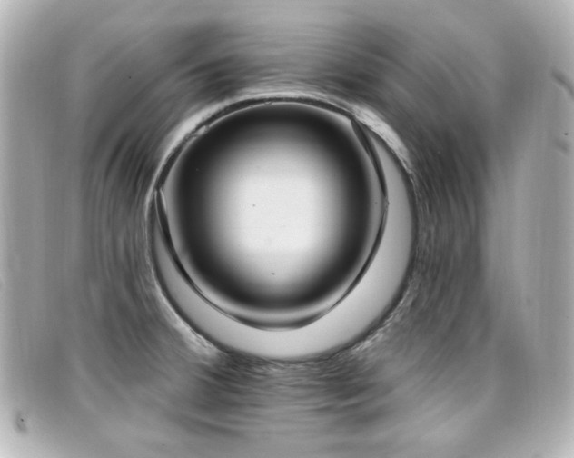 X0000099441380200805091303