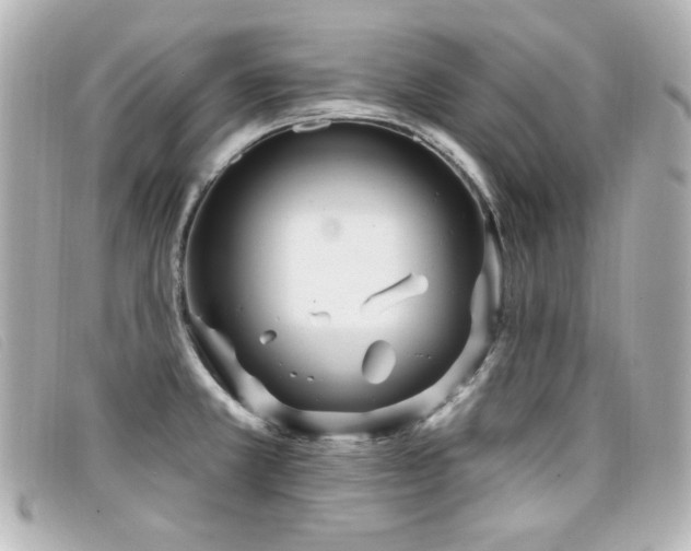 X0000099441381200805091303