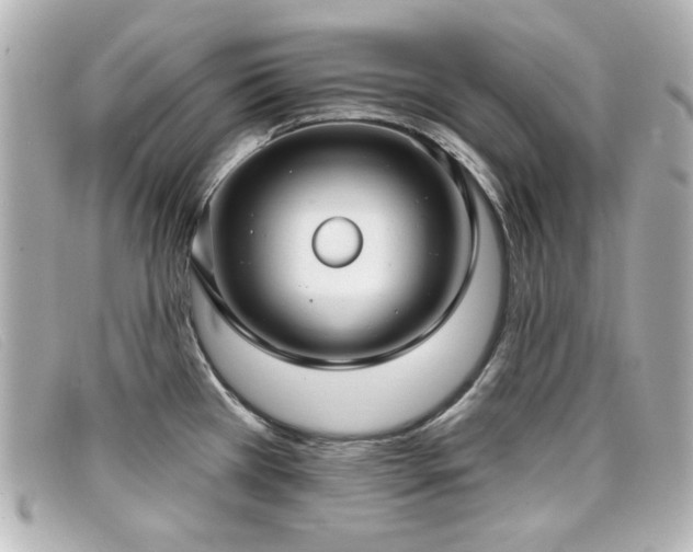 X0000099441385200805091302
