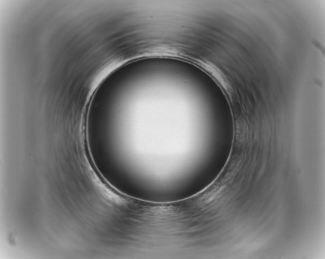 X0000099441387200805091302
