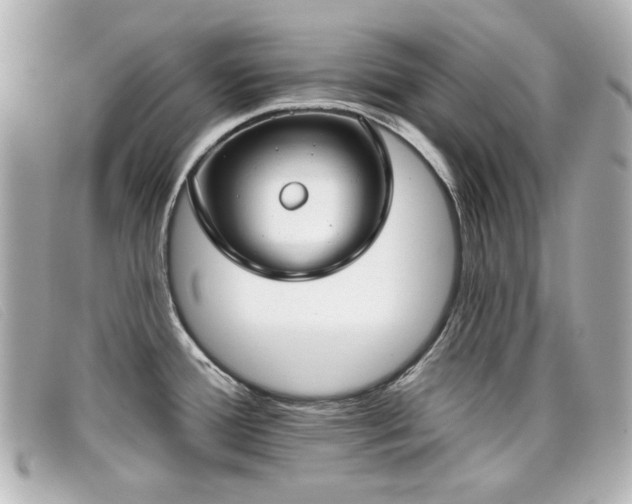 X0000099441388200805091302