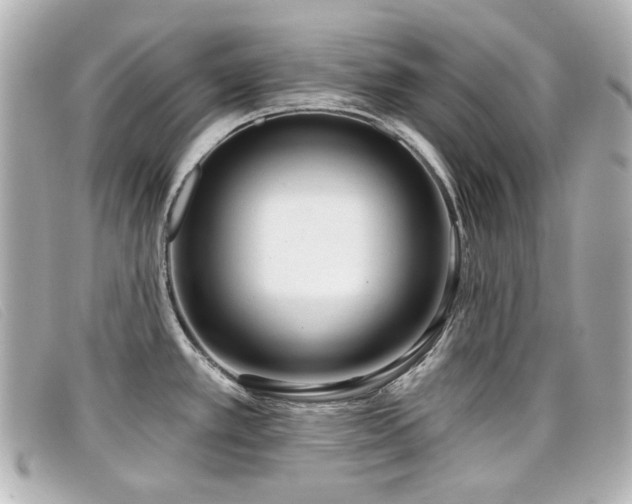 X0000099441389200805091302