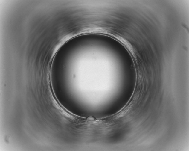 X0000099441390200805091302