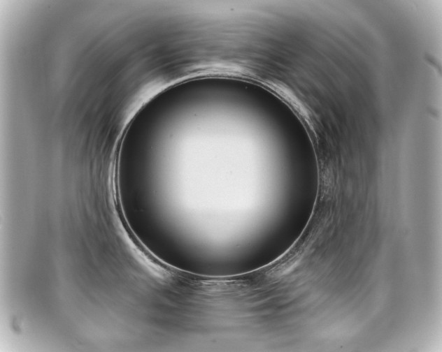 X0000099441391200805091302