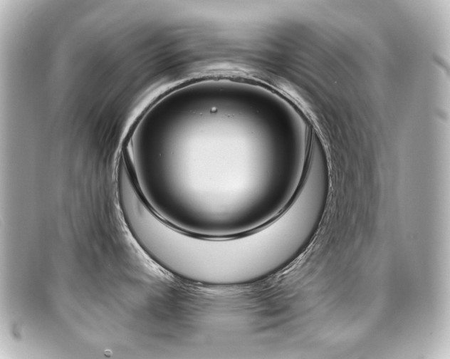 X0000099441392200805091302