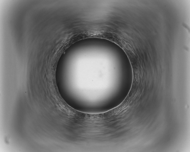 X0000099441393200805091302