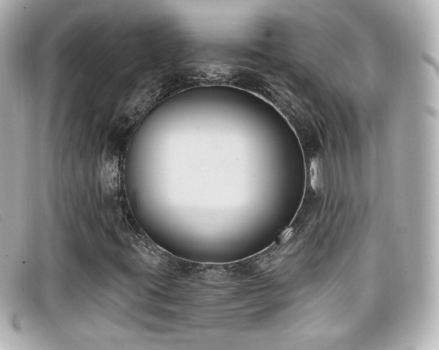 X0000099441395200805091302