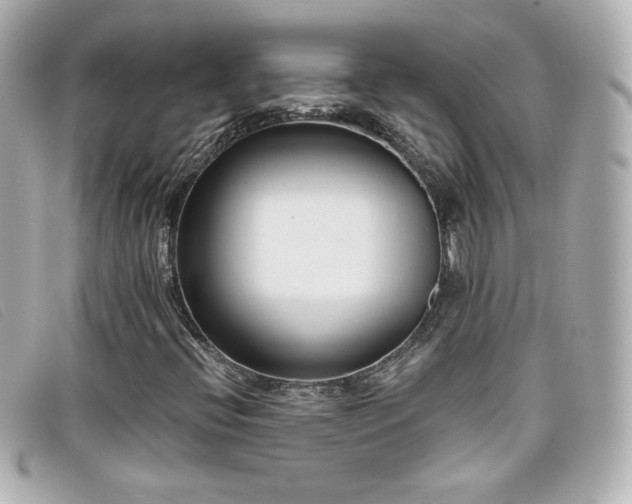X0000099441396200805091302