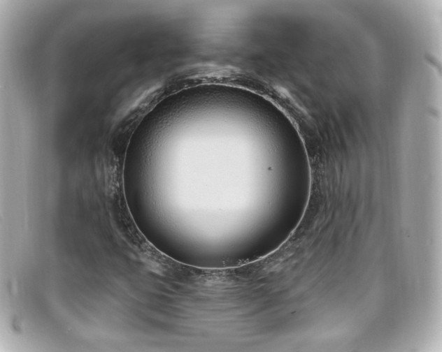 X0000099441399200805091302