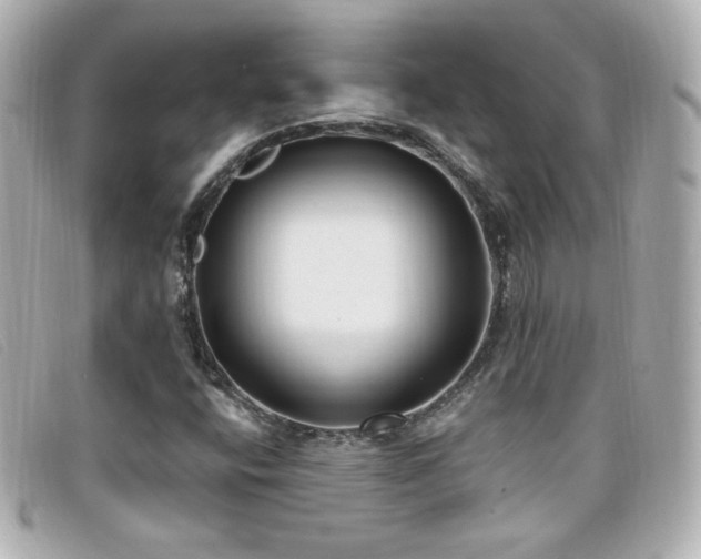 X0000099441400200805091302