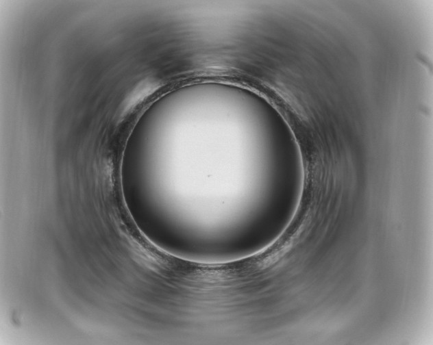 X0000099441402200805091302