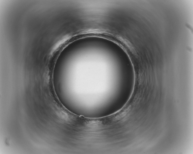X0000099441406200805091302