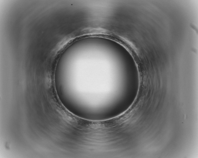 X0000099441407200805091302