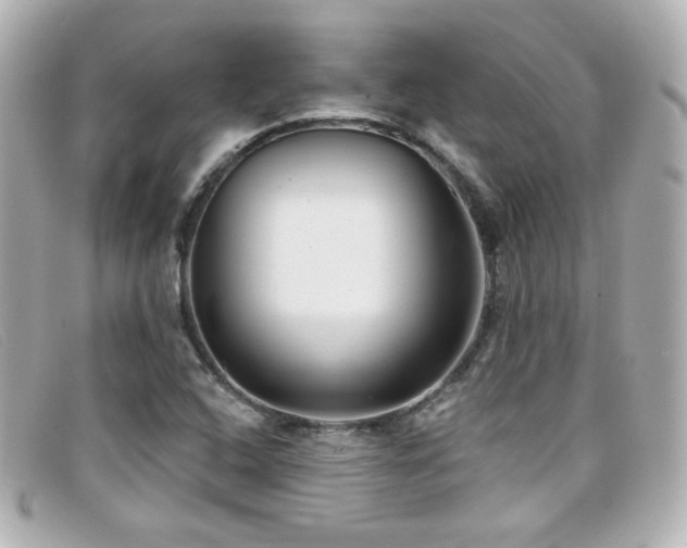 X0000099441408200805091302