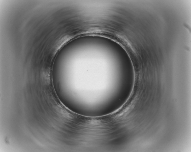 X0000099441409200805091302