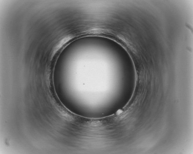 X0000099441410200805091302