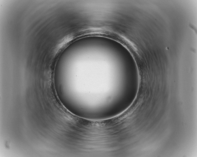 X0000099441411200805091302