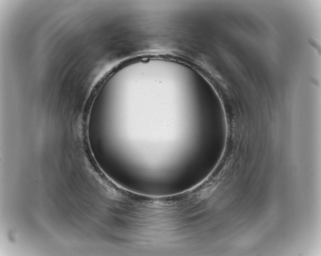 X0000099441412200805091302