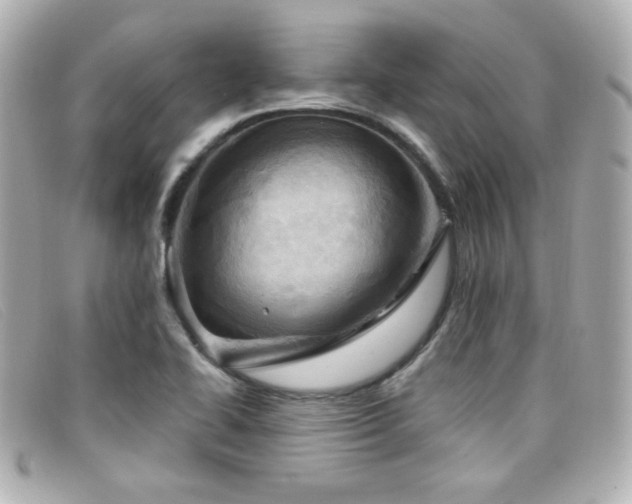 X0000099441414200805091302
