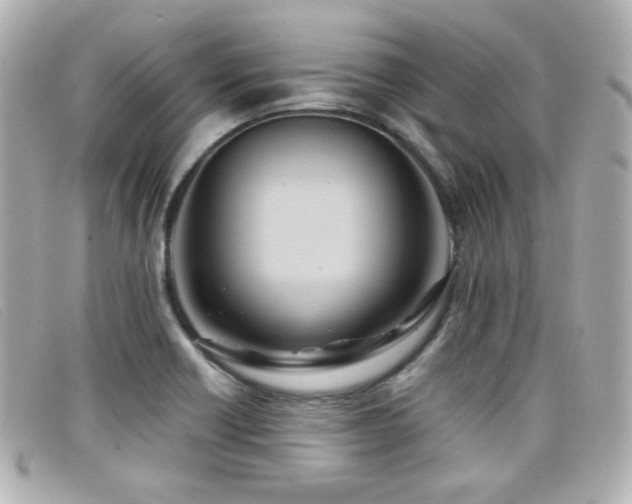 X0000099441418200805091302