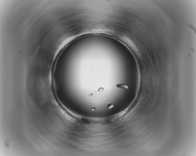 X0000099441420200805091302