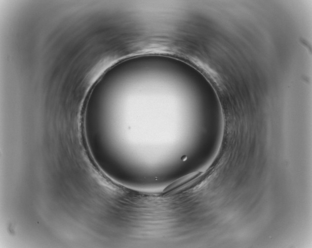 X0000099441423200805091302