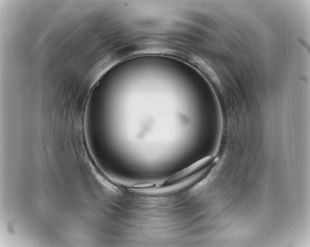 X0000099441425200805091302
