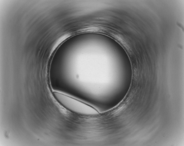 X0000099441426200805091302