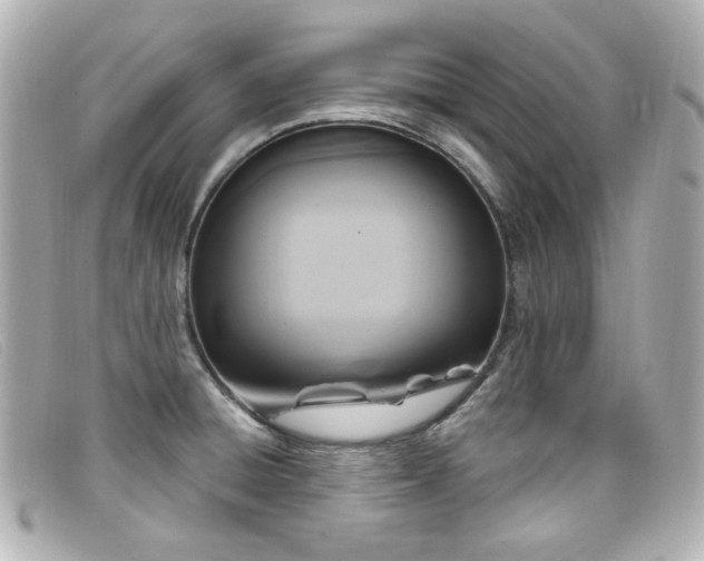 X0000099441428200805091302