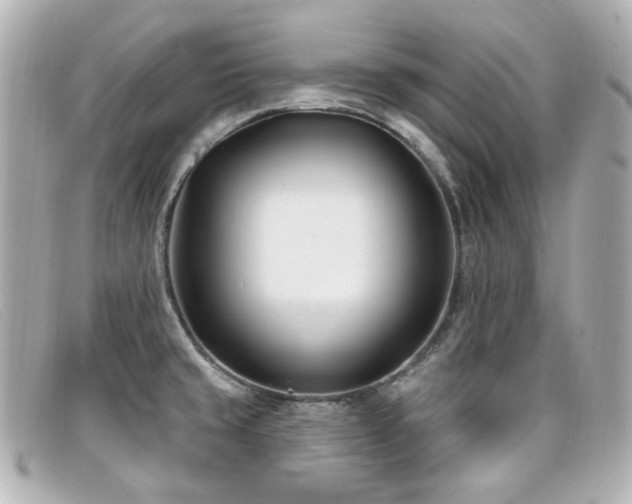 X0000099441429200805091302