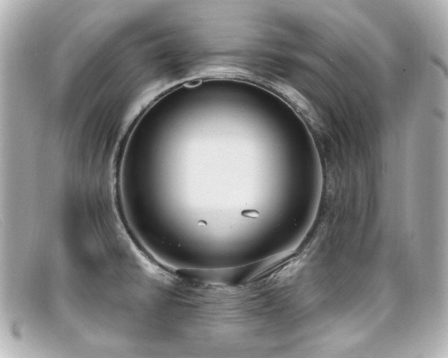 X0000099441430200805091302