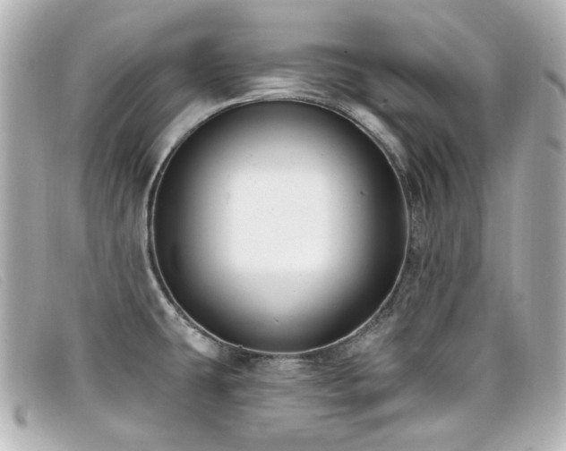 X0000099441431200805091302