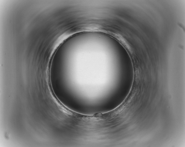 X0000099441432200805091302