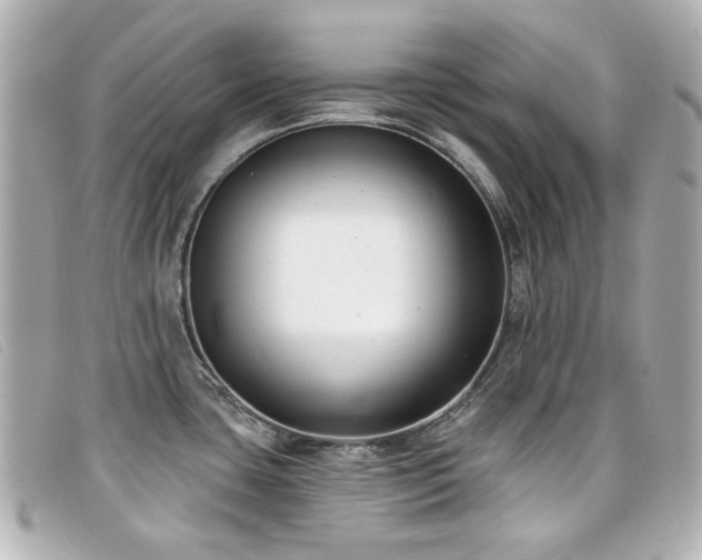 X0000099441435200805091302
