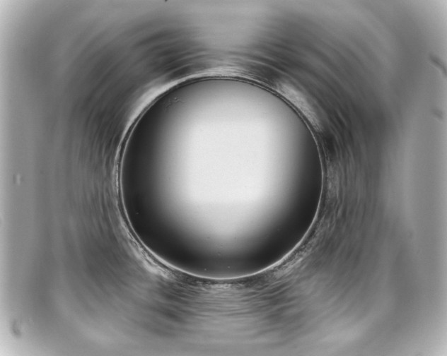 X0000099441436200805091302