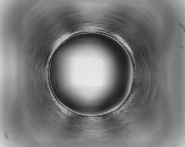 X0000099441437200805091302