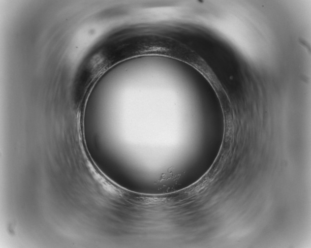 X0000099441439200805091302
