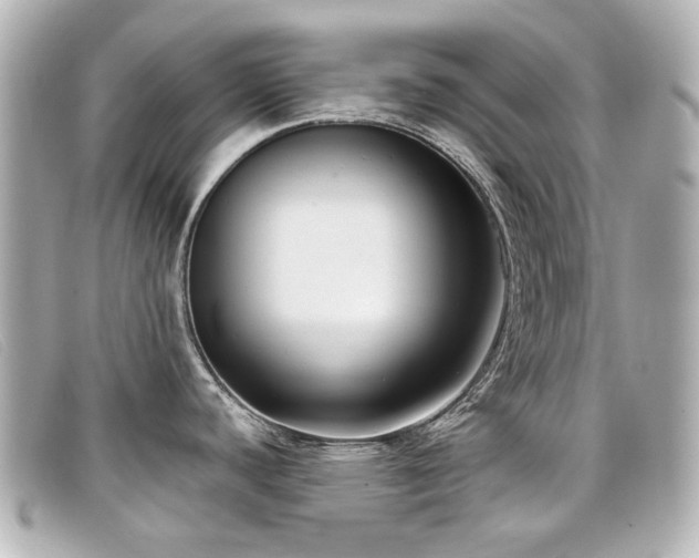 X0000099441440200805091302