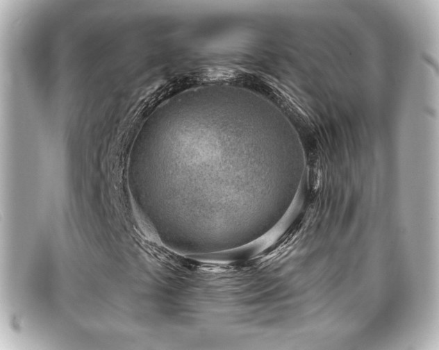 X0000099441441200805091302