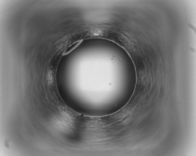 X0000099441442200805091302