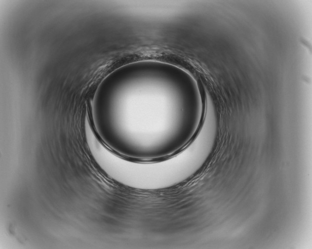 X0000099441444200805091302