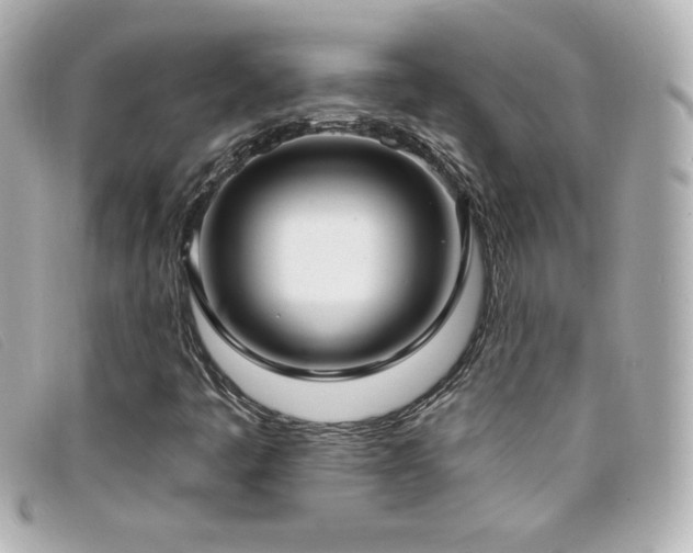 X0000099441445200805091302