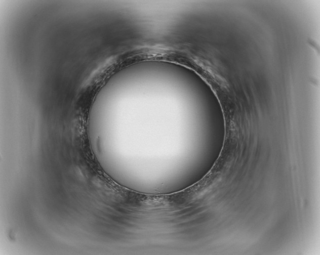 X0000099441447200805091302