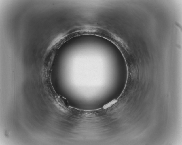 X0000099441448200805091302